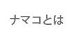 해삼이란